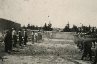 Η εικόνα ΕΙΝΑΙ η ουσία, κ. Καλύβα